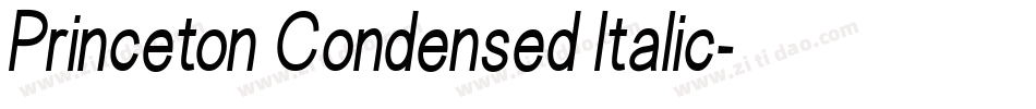 Princeton Condensed Italic字体转换